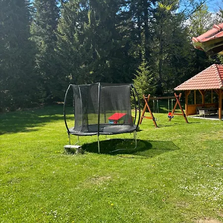 Tara * 바이나 바슈타