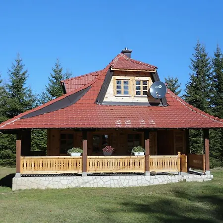 Tara * באינה באשטה