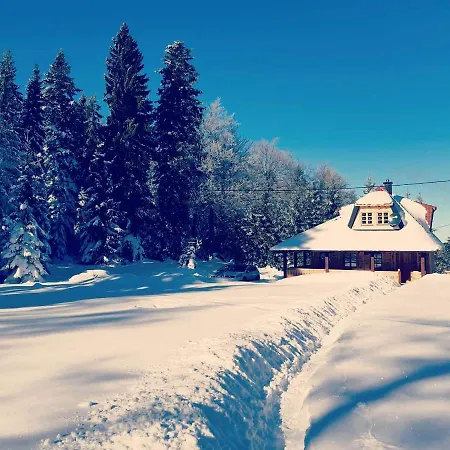 Tara באינה באשטה