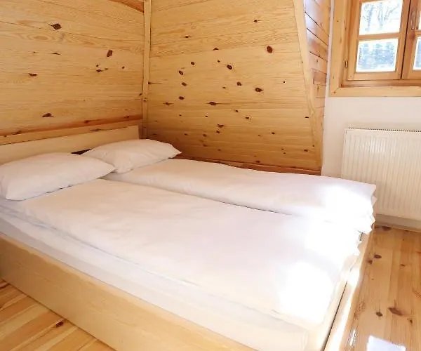 Tara باغينا باستا