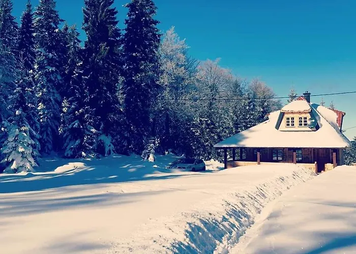 Tara باغينا باستا