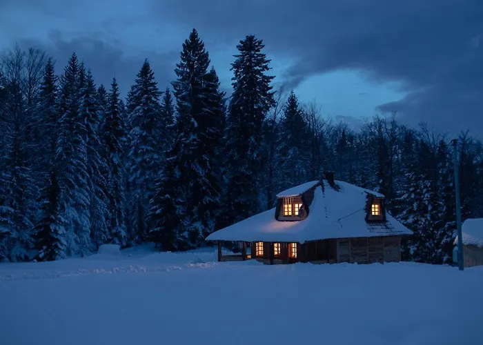 Tara * باغينا باستا